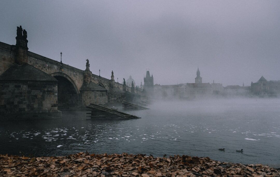 Dark atmospheric book cover artwork showing an old stone bridge over a misty river